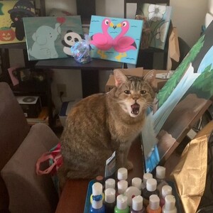 MARJORIE SALCEDO-JONES